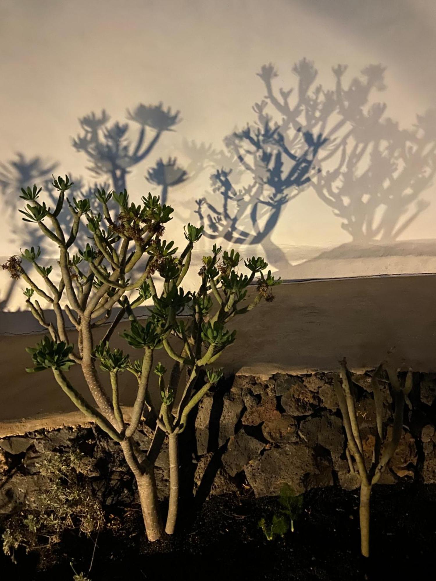 Casa Kira, Mácher Esterno foto